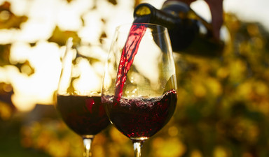 Şarap kültürümüz risk altında
