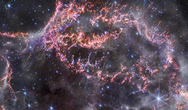 İçindeki her şey gibi evrenler de evrimle çoğalıyor olabilir mi?