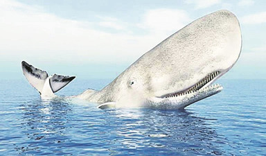 Moby Dick’i biliyorsunuz peki Loukianos’un balinasını?