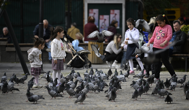Kutup girdabı sıcaklık getirecek yağış da azalacak