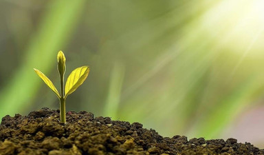 Doğa takviminde yaşamak