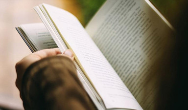 Aptallığın doğası bu kitapta anlatılıyor: Aptallığın Psikolojisi