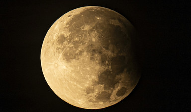 Hepimiz kule görevlisiyiz