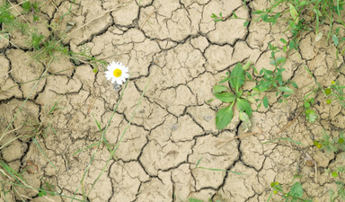 Rota mecburen yeniden oluşturuluyor