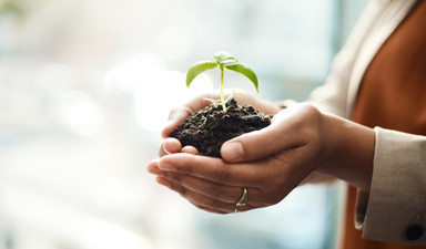 Sağlıklı ve sürdürülebilir kavramlar birlikte düşünülmeli