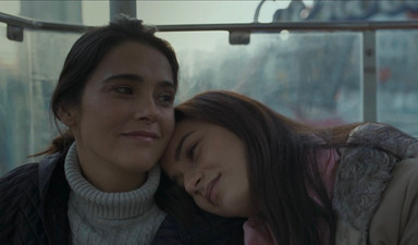Festivalden hemen sonra vizyona giren filmler