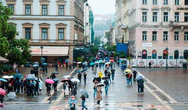 ‘İfade özgürlüğü dünya çapında gerilim hattında’