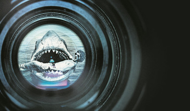 Yüzmeye gitmeden önce izleyin!