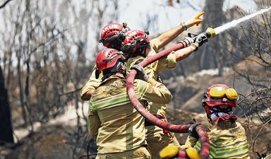İzmir yeniden yeşillenmek için destek bekliyor