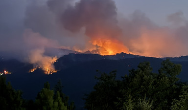 İşçi eğitimsiz, amir tecrübesiz, planlama yetersiz: 10 orman kahramanını neden kaybettik?
