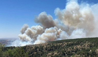 Yangınla mücadelede Fransa örneği