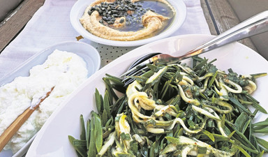 Tekneden bu yaz için son notlar