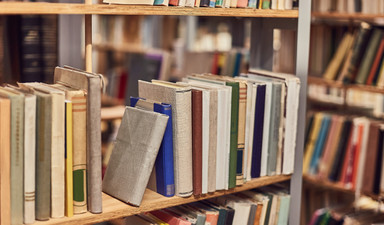 Türkiye’nin akademik “kobra çiftlikleri”