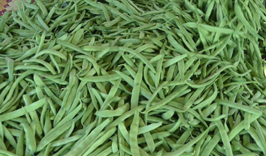 Taze fasulyenin her türlüsü
