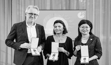 Bir Goethe Madalyası töreninin ardından