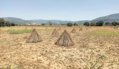 Gökova’nın sihirli sözcüğü: ‘Açıl susam açıl!’