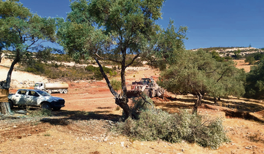 İkizköy muhtarı Nejla Işık: “Zehra Nine’den Akbelen mücadelesini miras aldık”