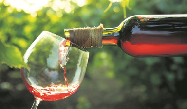 Topraktan kadehe bağbozumu