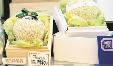 Yubari kavunu ile Taşköprü sarımsağı arasında!