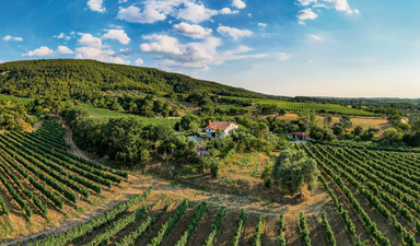 Bölüm 3: Çanakkale bağ rotası / Toprağa hayat veren 5 bin yıllık gelenek