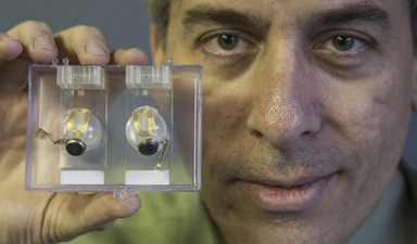 Teknolojik iflasların çaresiz mağdurları