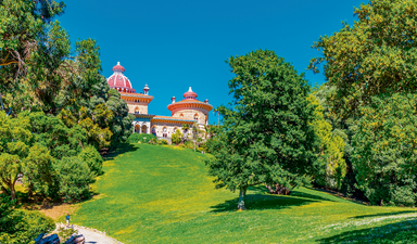 Monserrate’nin nemli harikalar diyarında
