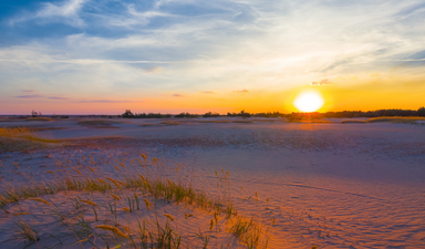 Borusan’dan sürdürülebilirlikte vites yükselten yol haritası