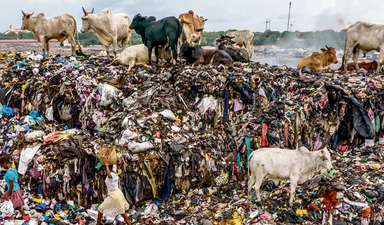 Ucuz giysinin bedeli ağır!