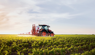 Kontrolsüz ithalat ve kaçak üretim soframızı zehirledi