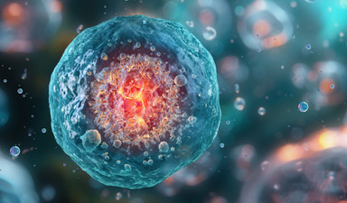 Hücrelerimizin sessiz saati