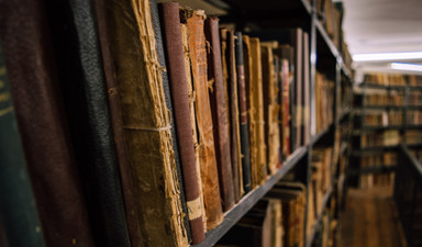 Hayatta kalma tutkusu