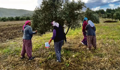 48 Taksim Meydanı’na eşdeğer alana acele kamulaştırma