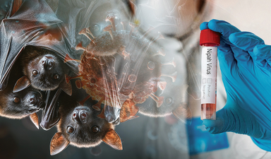 Virüsler aleminin en karanlık üyesi dünyayı korkutuyor: Bir sonraki pandeminin ardında Nipah mı olacak?