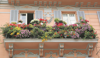 Monako’da kafanıza göre bitki dikemezsiniz!