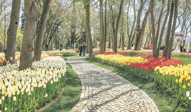 Soğanını sevdiğim