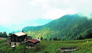 Karadeniz yeşiline doyma rehberi