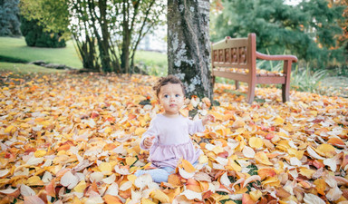 Doğaseverliği öğrenmeye devam