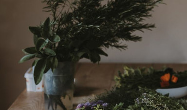 Otların açık büfesi sokaklardır