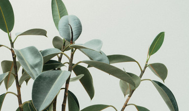 Kafayı boşaltmak için en ideal yol