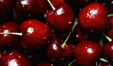 Vişneden ‘sour cherry’e