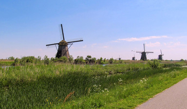 Tarımda 118 milyar dolarlık Hollanda mucizesi