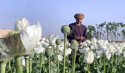 Taliban uyuşturucu ile alkolün üretim ve tüketimini yasakladı