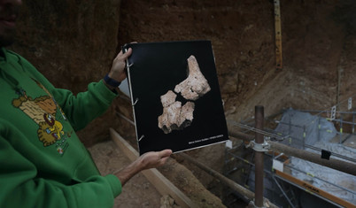 İspanya'da bulunan 1,4 milyon yıllık fosil tarihi değiştirebilir