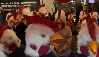 Paris'te aktivistler tavuk maskeleriyle fast food restoranını bastı