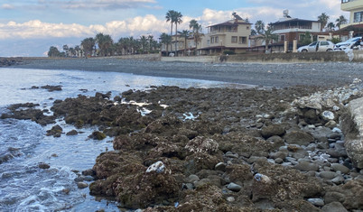 Hatay'da deniz suyu 20 metre geri çekildi