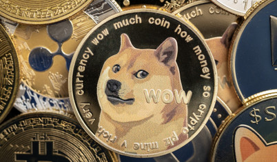 Dogecoin'in simgesi olarak bilinen Kabosu isimli köpek öldü