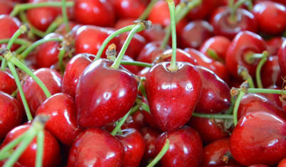 İngiliz medyası: Toz haline getirilen kiraz, Alzheimer'ı önlüyor