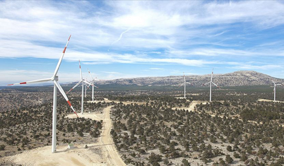 BAE'den Afrika'ya yenilenebilir enerji için 4,5 milyar dolar yatırım planı