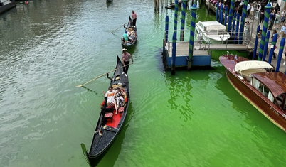 Venedik’te Büyük Kanal yeşile döndü