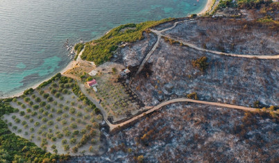 İzmir'de orman yangınında zarar gören alan havadan görüntülendi